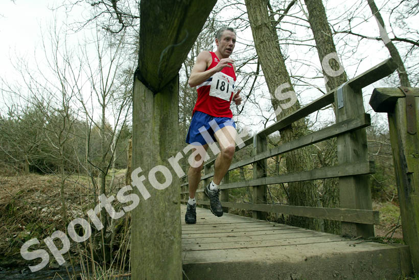 Hamsterley Forest Run